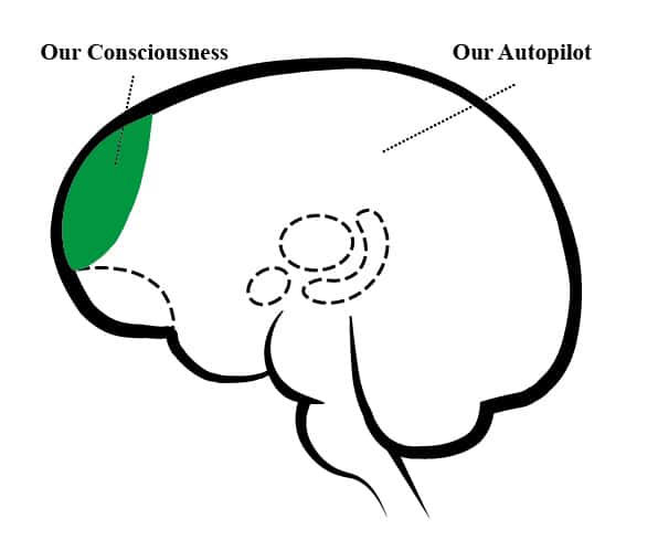 Diveded brain